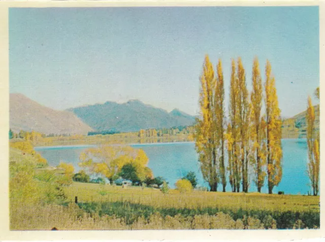 Lake Hayes New Zealand Picture card 10.5 x 8 cm VGC