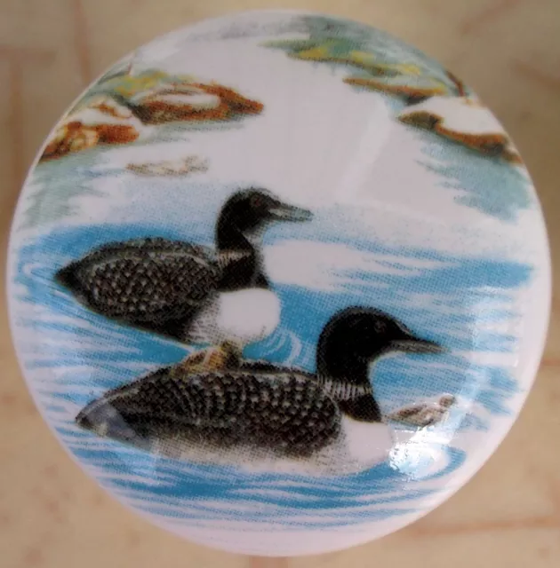 10 Cabinet Knobs Knob w/ Loons #5 BIRD
