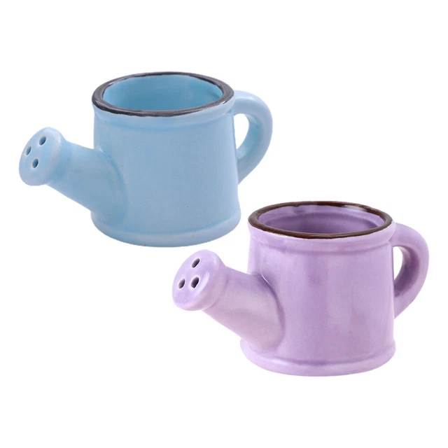2 Pcs Indoor Watering Can Watering Can Flower Pot Vintage Home Decor Tool