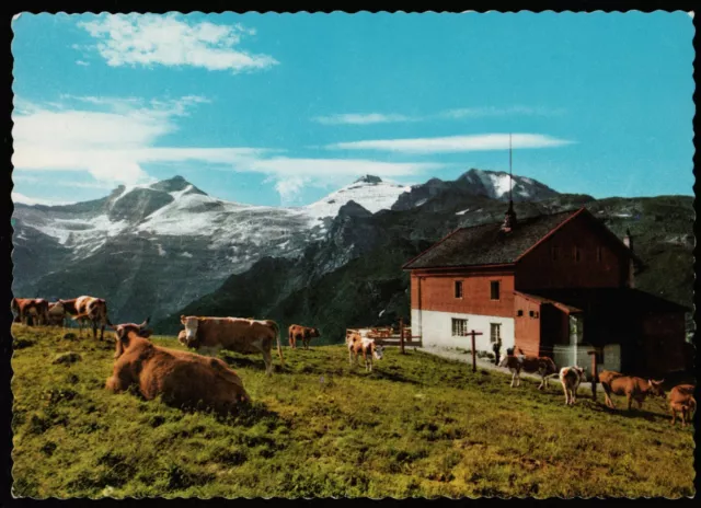 Tuxerjoch Haus Hintertux Zillertal Tirol Austria Postcard