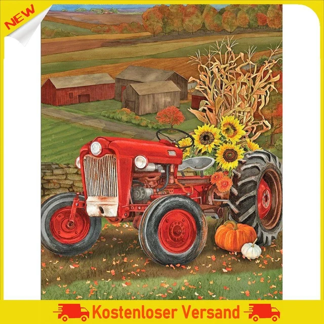 ABEUTY Kit Diamond Painting 5D Fai Da Te - Mandala Rosso E Fiori Di Cristallo - Tela 30x30 Cm