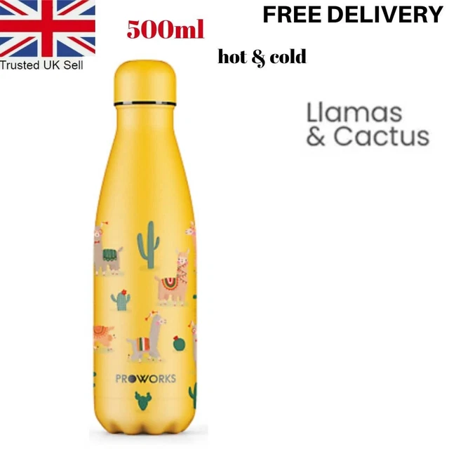 Insulated Water Bottle-Vacuum Flask-Thermal-Chilly-Gym-Drinking-500ML-Hot&Cold