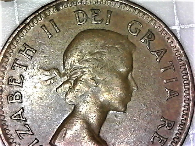 1955 CANADA cent  NSF. extremely rare NO SHOULDER FOLD Variety