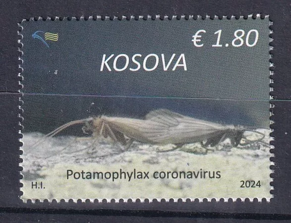 Kosovo 2024,Endemic Fauna,Insects,Potamophylax Coronavirus,,Mnh