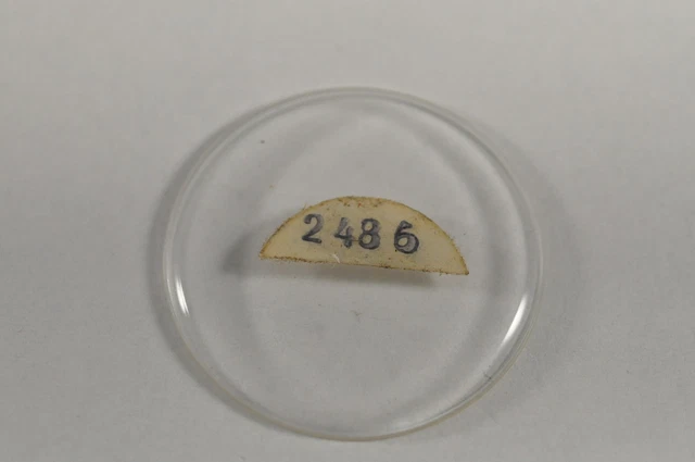 Ricambi In Vetro Di Murano Per Lampadari - Foto 5