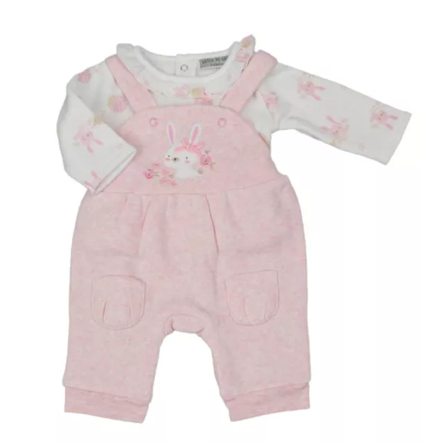 Baby Girls 2 Piece Dungarees Long Sleeve Top T-shirt Set Fleece Outfit Pink 1718