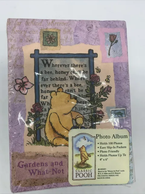 Lot 2 Disney Classic Winnie the Pooh Baby Photo Album Book 4x6 Brand New Sealed