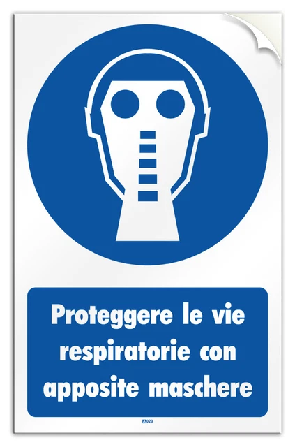 Installare gli estensimetri sia all'interno che all'esterno della... | Download Scientific Diagram