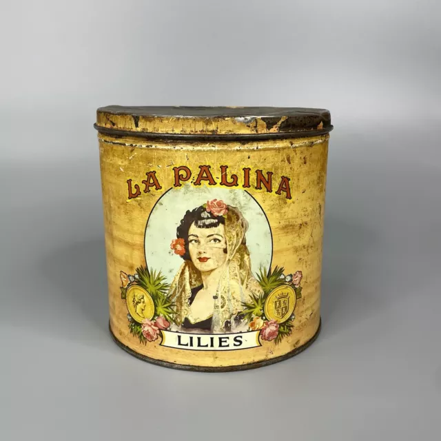 LA PALINA Senators Lillies Quality Cigar  Advertising Tin Tobacco Vintage c1930