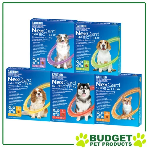 NEXGARD SPECTRA FLEA Ticks, Heartworm, Intestinal Worm Nexgard Spectrum