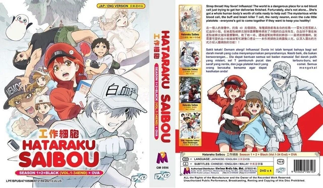 Hataraku Saibou Black Scan Vf