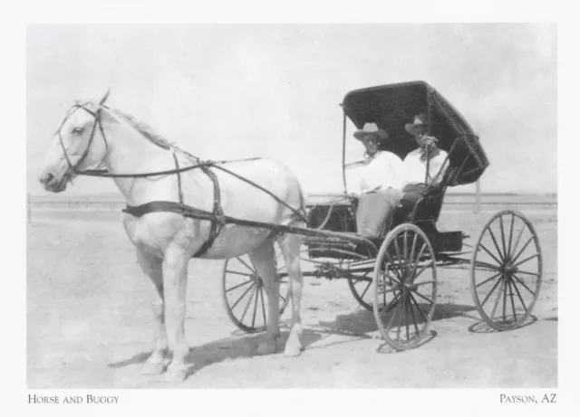 *Arizona Postcard-"Horse & Buggy" /Taking Break From Ranch Work/ *Payson (A325)