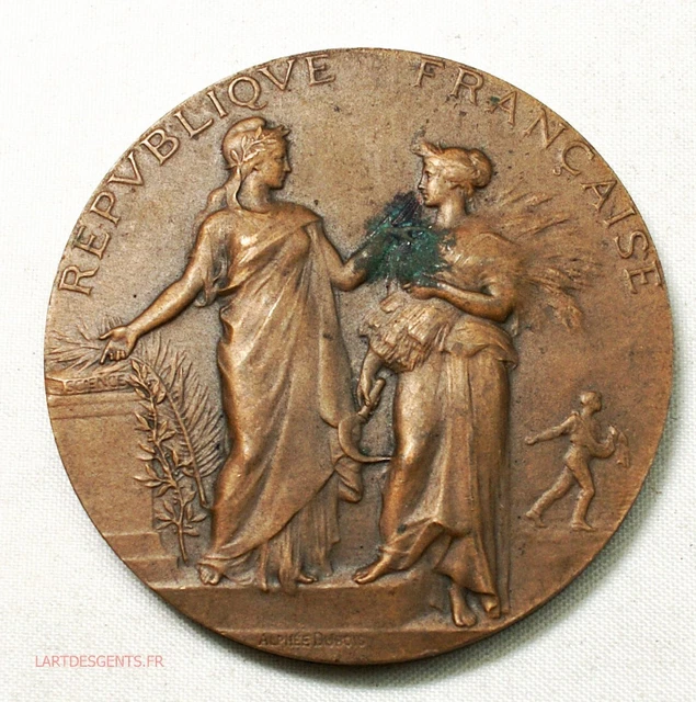 Médaille En Bronze - Ministère De L'Agriculture France - Alphée Dubois - Bel état