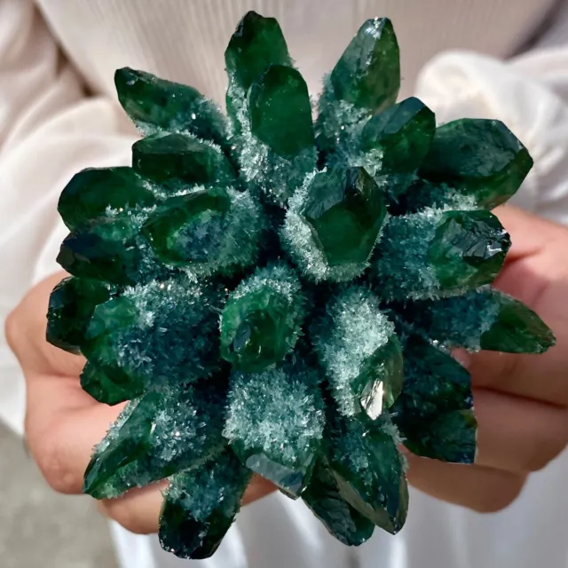 356G New Find Green Phantom Quartz Crystal Cluster Mineral Specimen Healing
