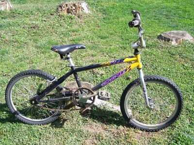 gt dyno vintage
