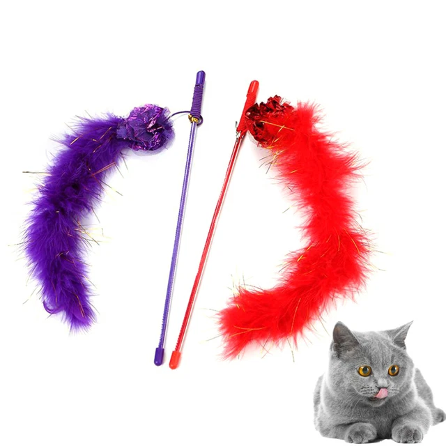 2 Pcs Bâton Teaser Pour Animaux De Compagnie Chat Interactif