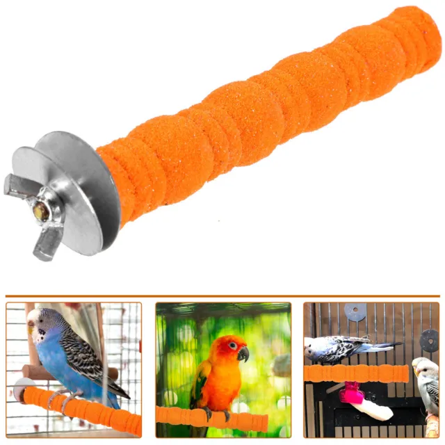 Vogel Spielzeug Hölzern Steht Für Papageien Vogelbarschständer
