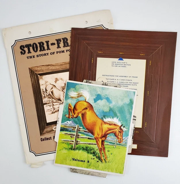 1967 Buckaroo 500 TV Stori Frames Story Pom Pom Vol 5 Picture Book Horse Weaver