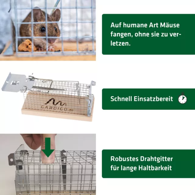 Ratten-Falle 2x Lebend Fänger Made in Germany Mausefalle Köder Ratte 2