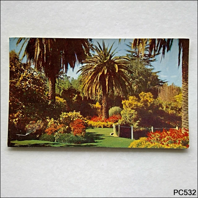 A colourful setting in the Botanic Gardens Albury NSW Postcard (P532)