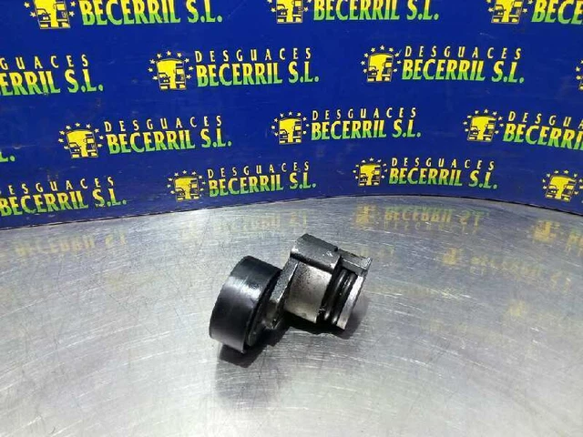 galet tendeur pour RENAULT SCENIC II 1.5 DCI (JM1E) 2003 1188336