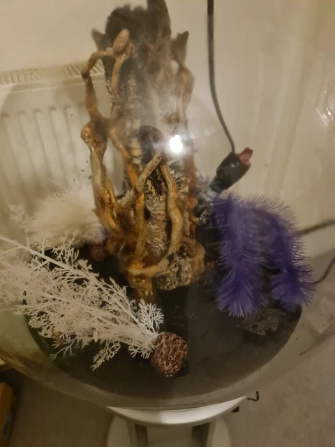 bio orb fish tank 60l comes with stand lighting heating pump and plants and Cent
