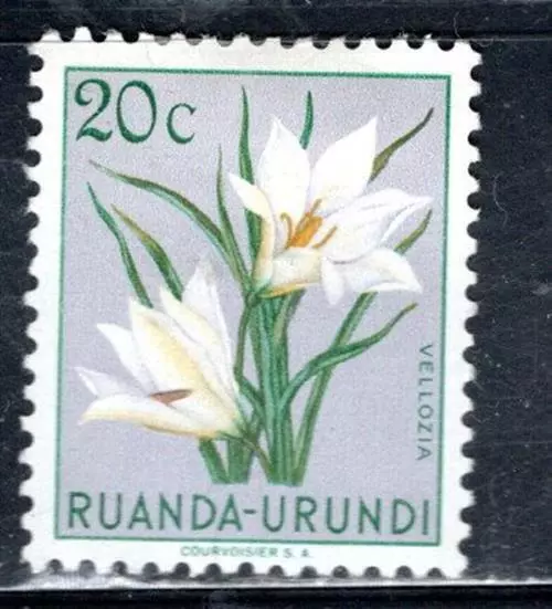 Belgium Colonies Belgian East Africa Ruanda Urundi Stamps Mint Hinged Lot 404Ak