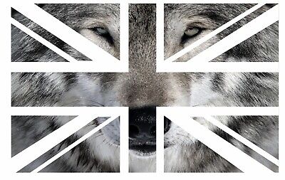 UK British Union Jack Flag With Wolf Wolves Face Vinyl Car Sticker 110x70mm
