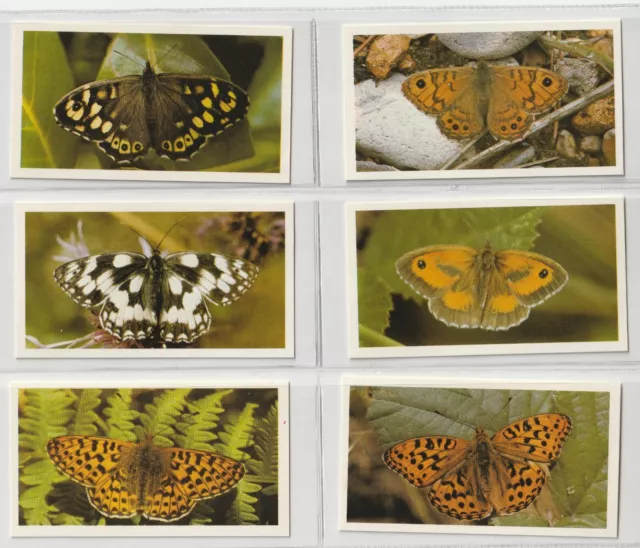 John Players Grandee British Butterflies complete set of 32 cigarette cards