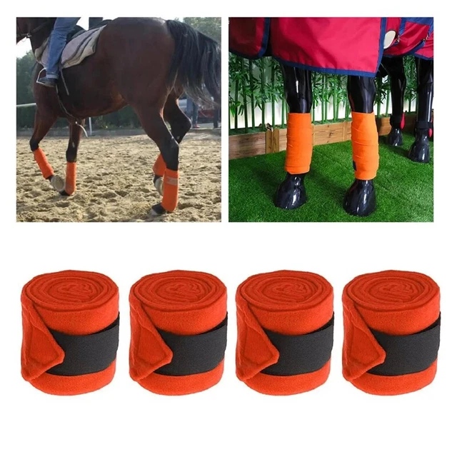 Exercé Inspecter parade enveloppement froid pour jambes crocodile caravane Truie