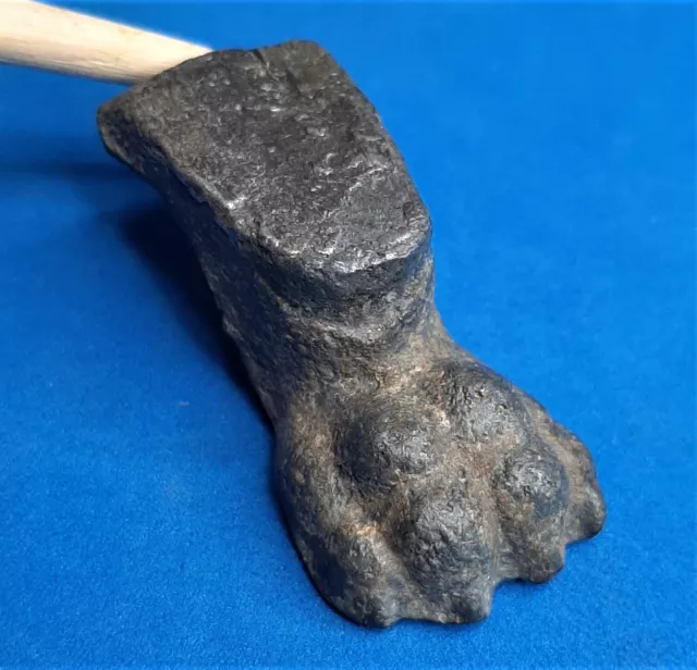 Lion's Paw Roman Ancient Artifact