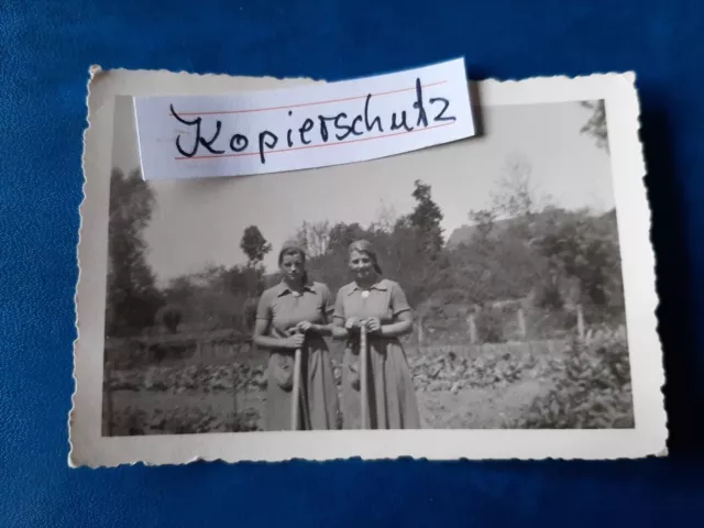 Original Seltenes Foto BDM Mädels oder Landfrauen oder Weiblicher Rad