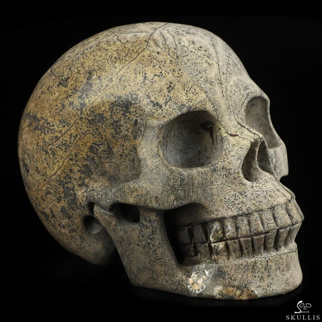 5.0" Chinese Painting Stone Hand Carved Crystal Skull, Realistic, Healing