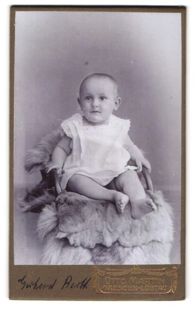 Fotografie Otto Martin, Dresden-Löbtau, Reisewitzerstr. 18, Süßes Kleinkind im