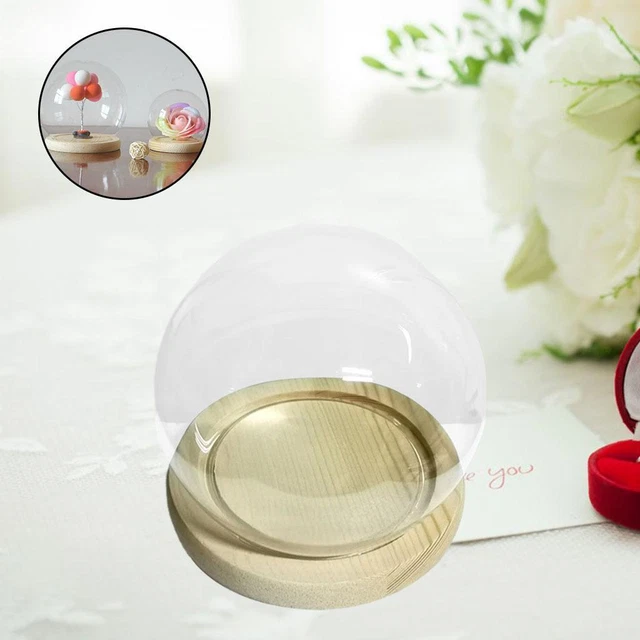 2 Stück Glas Display Cloche Bell Jar Dome Cover Flower Preservation Holzsockel