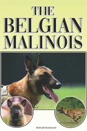 Michael Stonewood The Belgian Malinois (Poche)