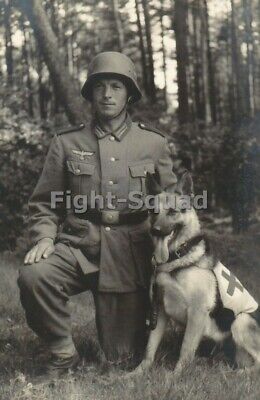WW2 Picture Photo German Medic Soldier With His Dog 3307