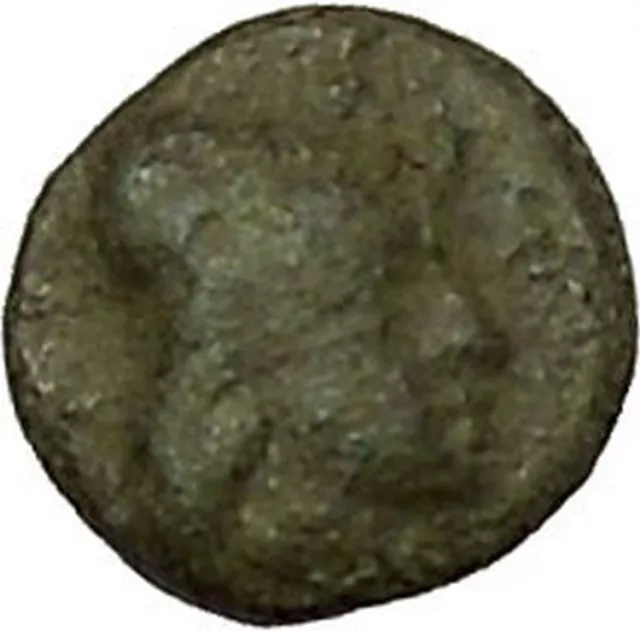 RARE Possibly Unpublished Authentic Ancient Greek Coin Lion Male Head i40314 2