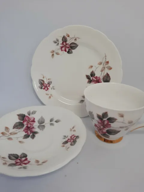 Royal Windsor Fine Bone China Cup Saucer And Small Plate. 0151 3