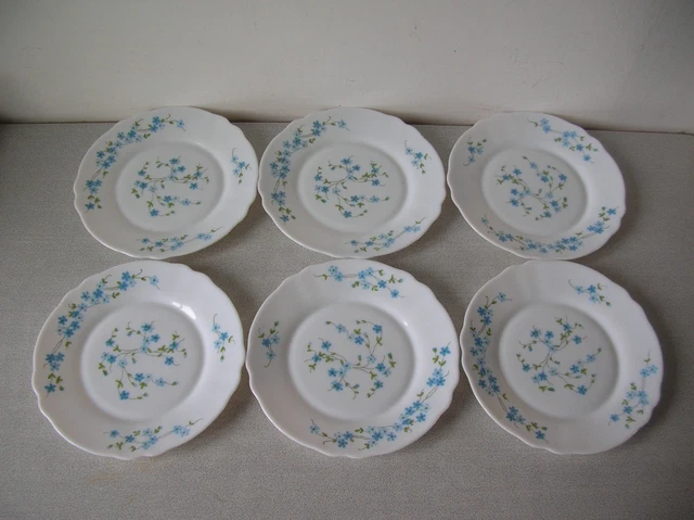 6 anciennes assiettes à dessert Arcopal myosotis années 70 vintage
