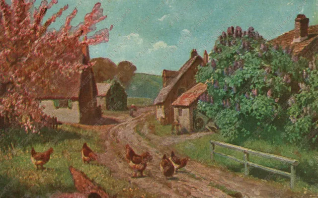 Villaggio con galline paesaggio natura Cartolina illustrata
