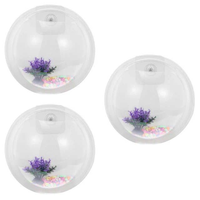Wall Fish Tank Fish Tank On Wall Wall Mount Aquarium Clear Bowl Planters