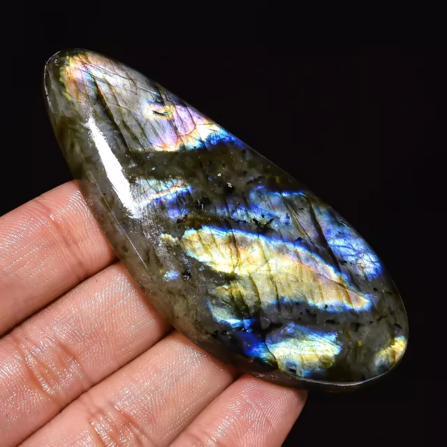 179.00 Cts Natural Play Of Multi Color Labradorite Fancy Shape Cabochon Gemstone