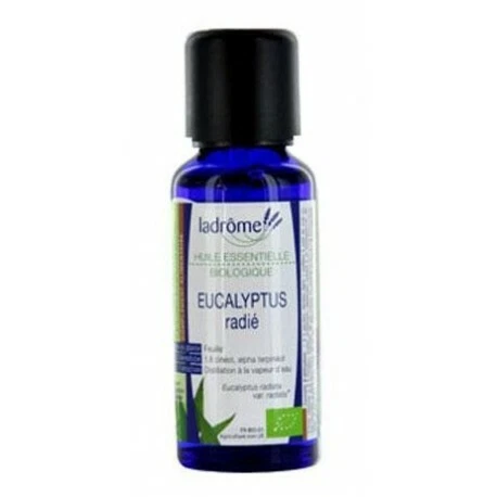 HUILE ESSENTIELLE Bio Eucalyptus radiata