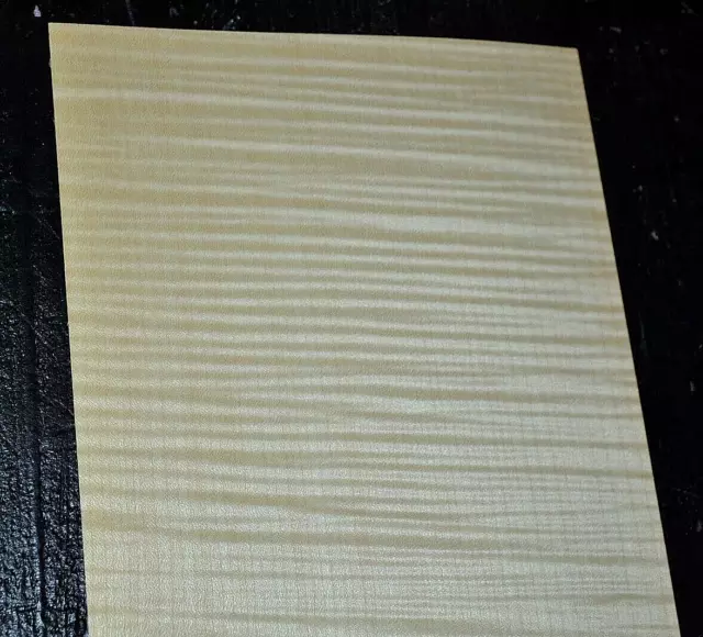 Curly Maple Raw Wood Veneer Sheet 8 x 23 inches 1/42nd                  4665--89