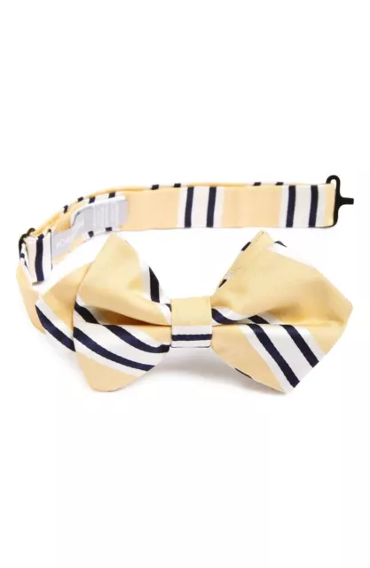 Nordstrom 165068 Boy's 'Vice President' Yellow Stripe Silk Bow Tie One Size 3