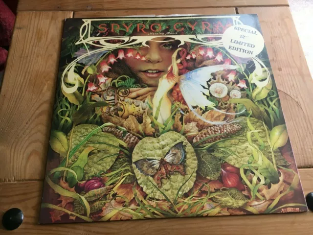 Spyro Gyra - Morning Dance - 12 Inch Vinyl Record In Ex Condition, More Items Li