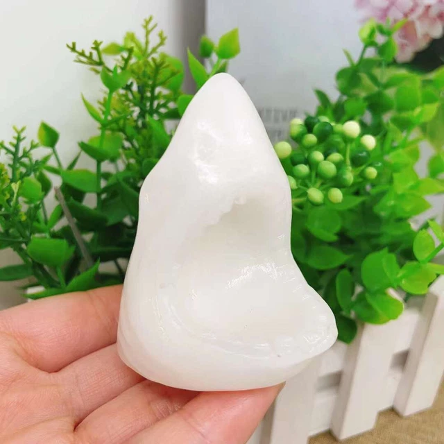 1pc Natural White Jade Quartz Carved Sharks Head Skull Crystal Reiki Healing Gem