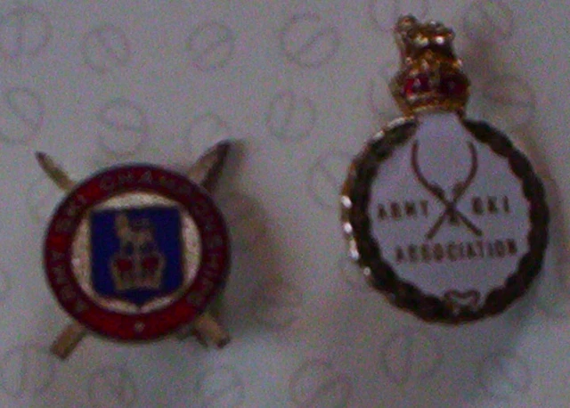 Two ARMY SKI Association & Championship Badges. Enamel. Pin-type.