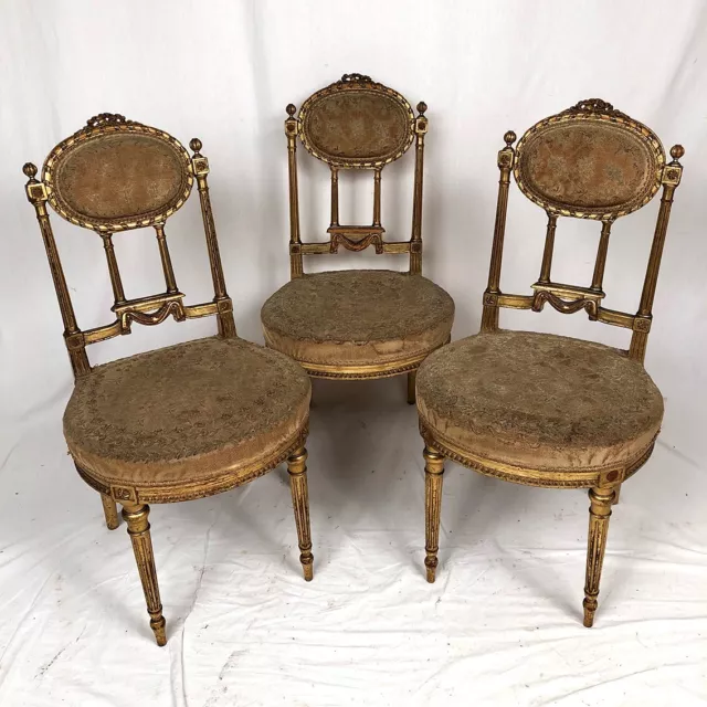 Série de trois chaises de style Louis XVI en bois doré, vers 1900 2